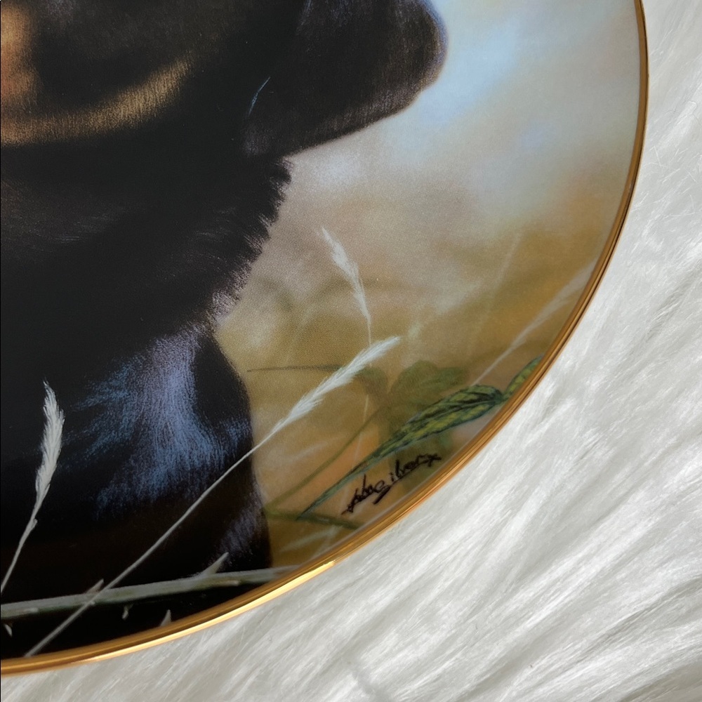 Danbury Mint Rottweiler Plate Decorative Limited Edition - Picture 5 of 8